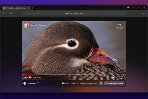 Choose DuckDuckGo Privacy Browser. . Duckduckgo browser download for pc